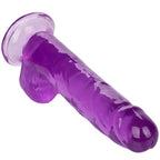 CALEXOTICS - GRÖSSE QUEEN DILDO LILA 20,3 CM