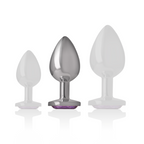 INTENSE - ALUMINIUM-METALL-ANALPLUG MIT VIOLETTEM KRISTALL GRÖSSE M
