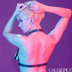 CALEXOTICS - EUPHORIA HALTER BUCKLE HARNESS SCHWARZ