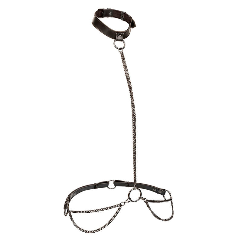 CALEXOTICS - EUPHORIA KETTENHALFTERHALSBAND &amp; LEINE