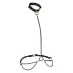 CALEXOTICS - EUPHORIA KETTEN-HALFTERHALSBAND &amp; LEINE ÜBERGRÖSSE