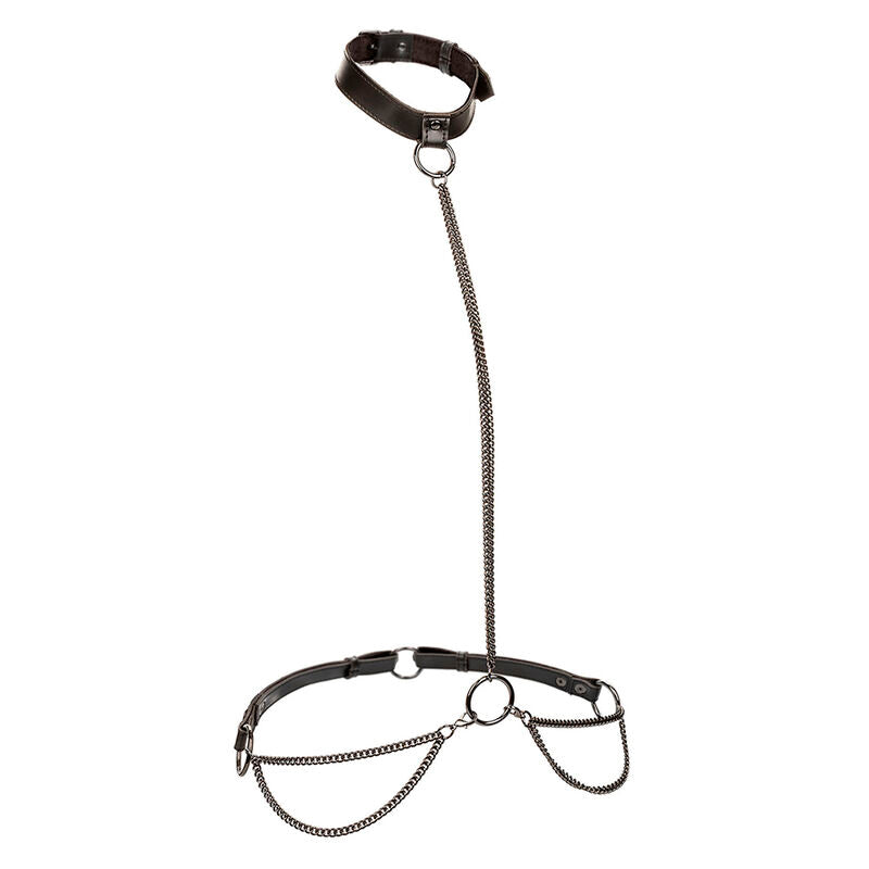 CALEXOTICS - EUPHORIA KETTEN-HALFTERHALSBAND &amp; LEINE ÜBERGRÖSSE